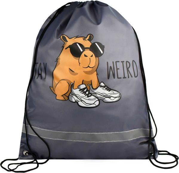 Мешок для обуви Феникс+ Чудная капибара / 69194 - фото