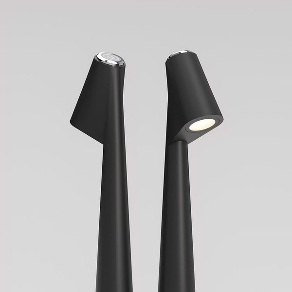 Настольная лампа Elektrostandard Elite TL70250