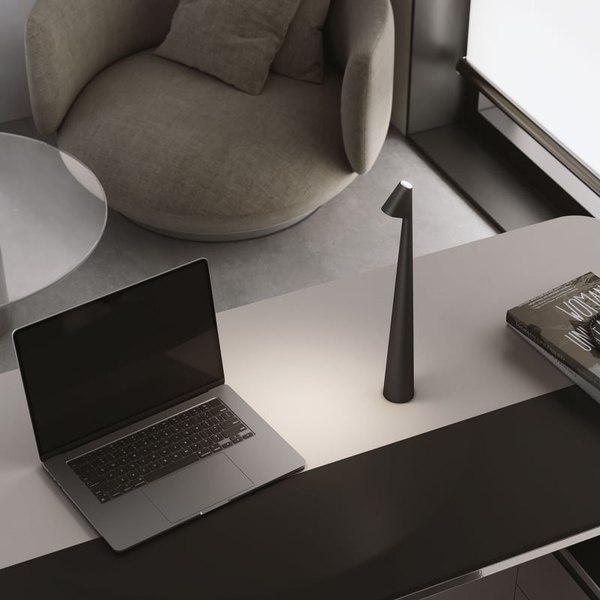 Настольная лампа Elektrostandard Elite TL70250