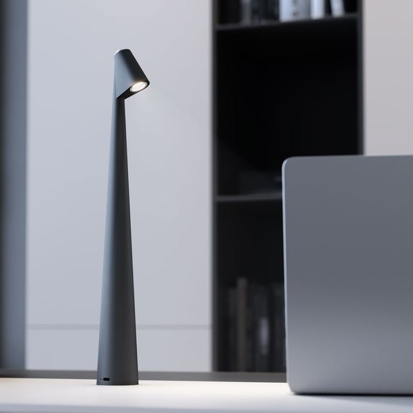 Настольная лампа Elektrostandard Elite TL70250