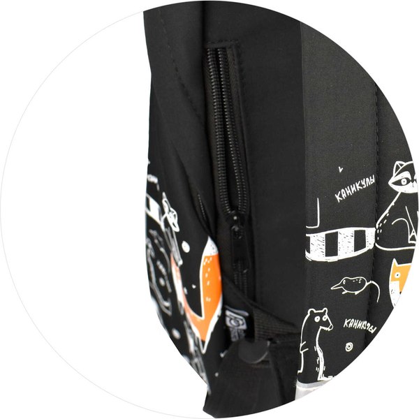 Школьный рюкзак Феникс+ Сдаю хвосты / 68485