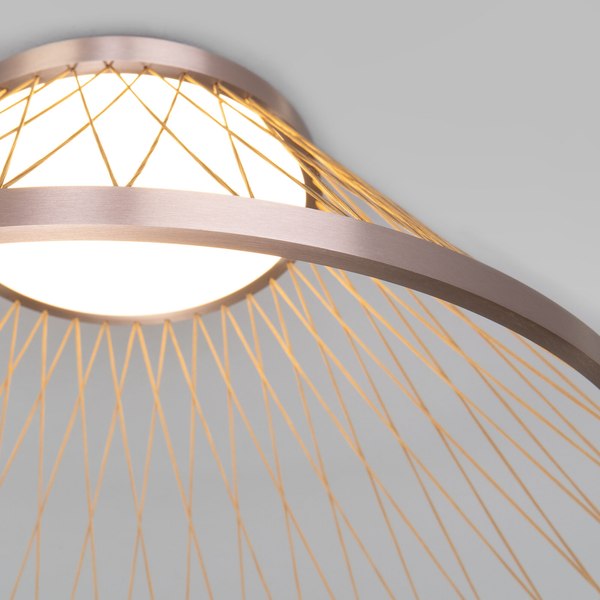 Потолочный светильник Евросвет Cesta 40019/1 LED