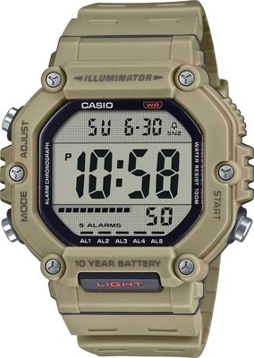 Часы наручные мужские Casio AE-1600H-5A - фото