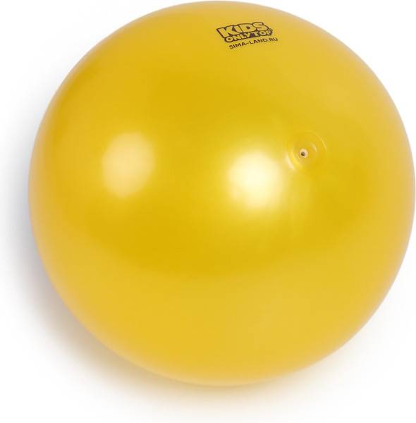 Мяч детский Zabiaka Лев / 9000686