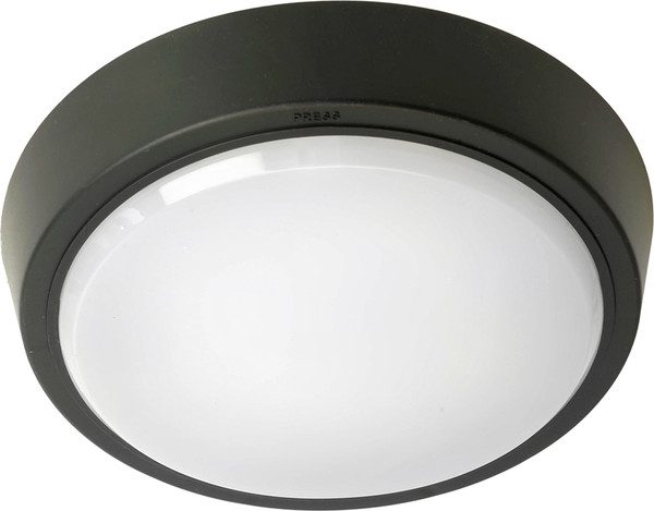 Светильник ЖКХ Feron AL3020 / 51474 - фото