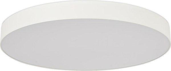 Потолочный светильник ST Luce ST601.542.18