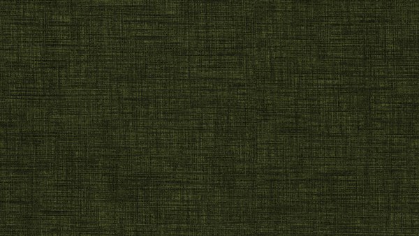 Двуспальная кровать Moon Family 1261 / MF012646