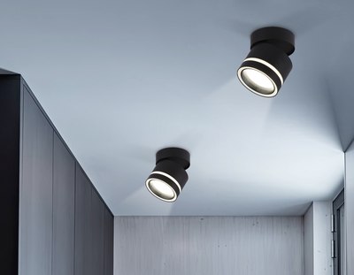 Спот Ambrella TA1445 BK/FR