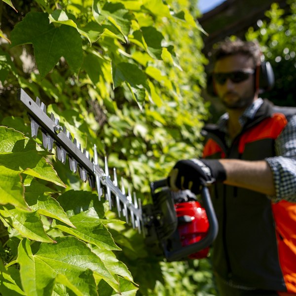 Кусторез бензиновый Efco TG 2470 P (58099021E2)