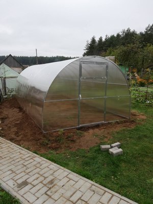 Теплица ИМпласт ЕвроПласт Титан 3х8 дуги 40х20 шаг 67 / 15339