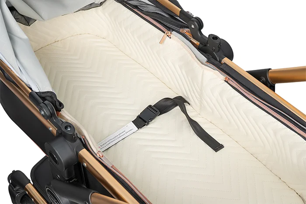 Детская универсальная коляска Aimile Adventurer / ADV-4