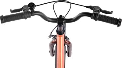 Детский велосипед Maxiscoo Jazz Стандарт 18 2025 / MSC-J1841