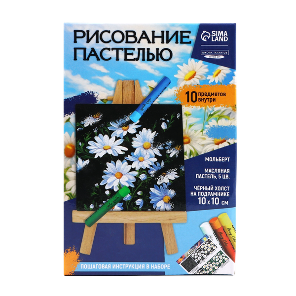 Набор для рисования Школа талантов Рисование пастелью. Ромашки / 10291578 - фото