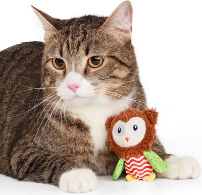 Игрушка для кошек ZooZooZoo Испуганная Сова 39051/ZZ