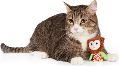 Игрушка для кошек ZooZooZoo Испуганная Сова 39051/ZZ