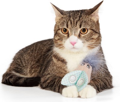 Игрушка для кошек ZooZooZoo Мотылек 11208/ZZ