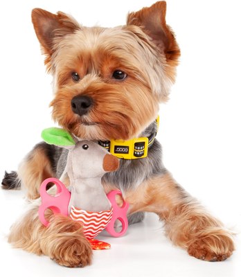 Игрушка для собак ZooZooZoo Кенгуру с косточкой 39043/ZZ