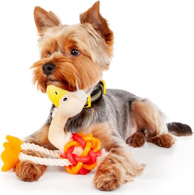 Игрушка для собак ZooZooZoo Страус Мини 39027/ZZ