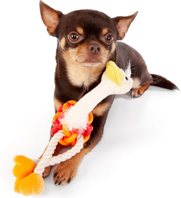 Игрушка для собак ZooZooZoo Страус Мини 39027/ZZ