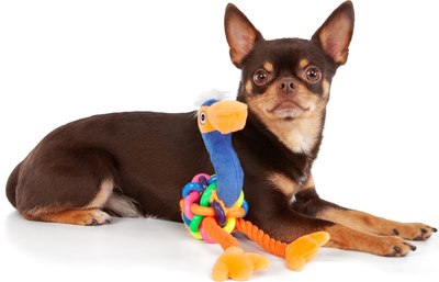 Игрушка для собак ZooZooZoo Фламинго Мини 39028/ZZ