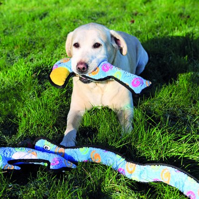 Игрушка для собак ZooZooZoo Змейка 39143/ZZ