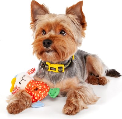 Игрушка для собак ZooZooZoo Овечка Лафи 39044/ZZ