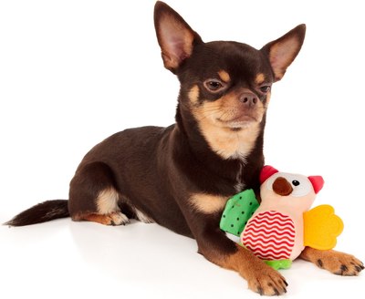 Игрушка для собак ZooZooZoo Сова Вайзи 39045/ZZ