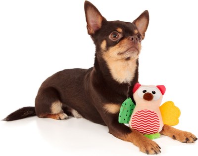 Игрушка для собак ZooZooZoo Сова Вайзи 39045/ZZ