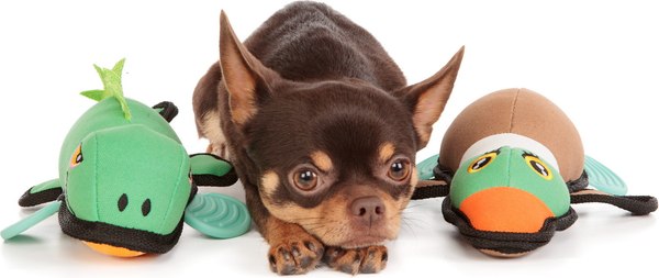 Игрушка для собак ZooZooZoo Утка Canvas 39033/ZZ