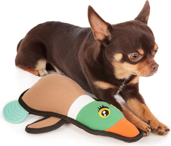 Игрушка для собак ZooZooZoo Утка Canvas 39033/ZZ