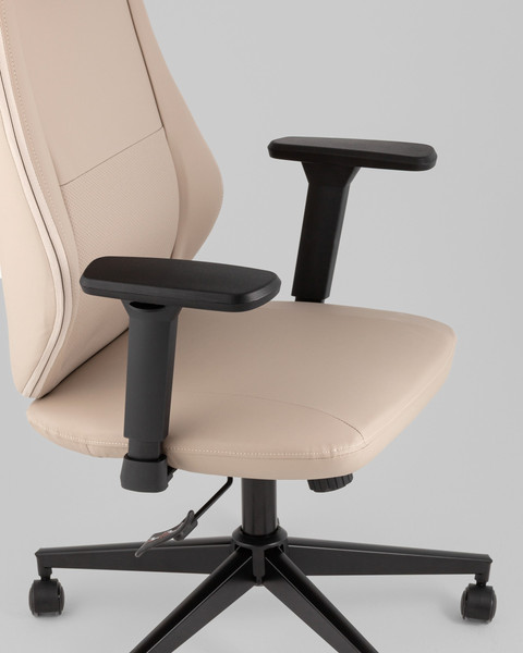 Кресло офисное TopChairs Trophey DD-001