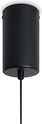 Потолочный светильник Freya Lake FR6179PL-L6B