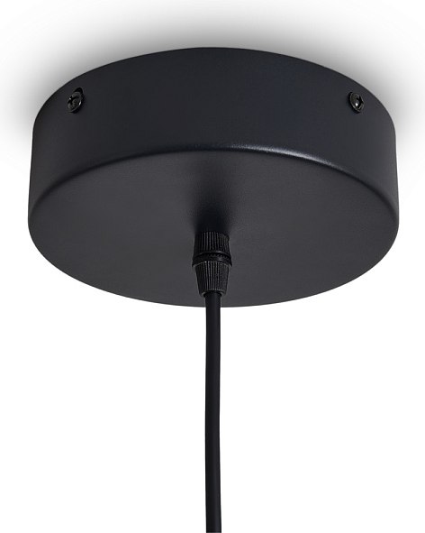 Потолочный светильник Freya True FR6181PL-L6B