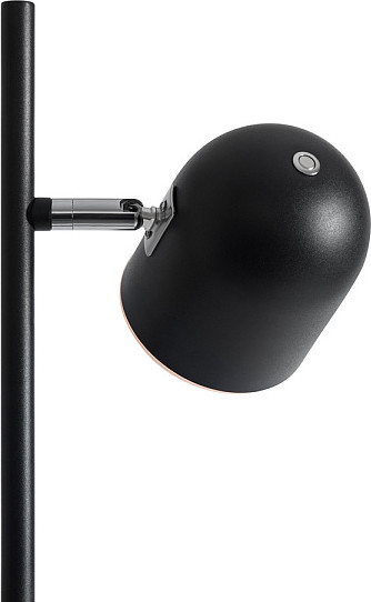 Торшер Freya Unique FR5279FL-L7B