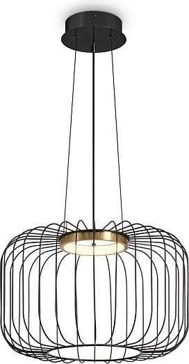 Потолочный светильник Freya Citrus FR5398PL-L8B - фото