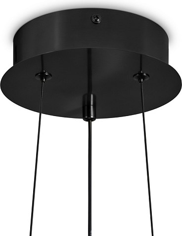 Потолочный светильник Freya Citrus FR5398PL-L8B