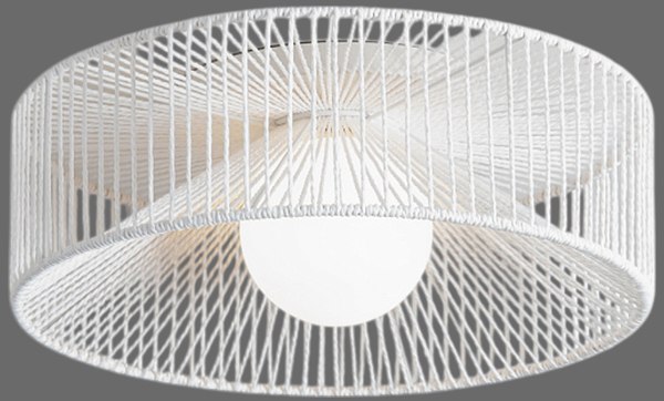 Потолочный светильник Freya Cottage FR5405CL-01W - фото