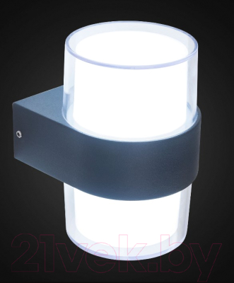 Светильник уличный Citilux CLU0009R