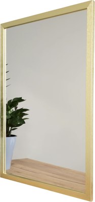 Зеркало Emze Прямоугольное 40x60 / DK4001.AUR