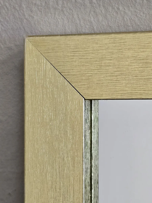 Зеркало Emze Прямоугольное 50x70 / DK4002.AUR