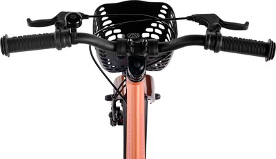 Детский велосипед Maxiscoo Jazz Pro 16 2025 / MSC-J1641P