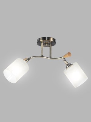 Спот Aitin-Pro НПБ 02-2x60-101 / N6405/2