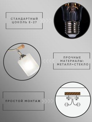 Спот Aitin-Pro НПБ 02-2x60-101 / N6405/2