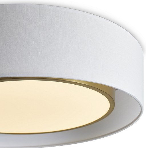 Потолочный светильник Freya FR6170CL-L52BS