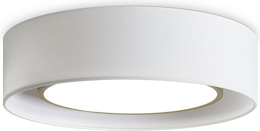 Потолочный светильник Freya FR6170CL-L52BS