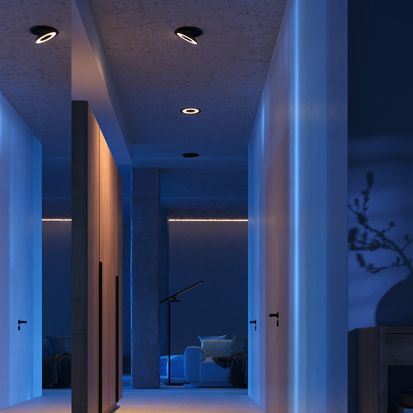 Спот Maytoni Vector DL102-12W3K-B