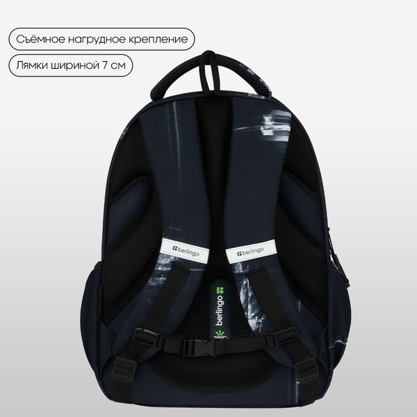 Школьный рюкзак Berlingo ErgoFlex. GR8 / RU-FL-2501