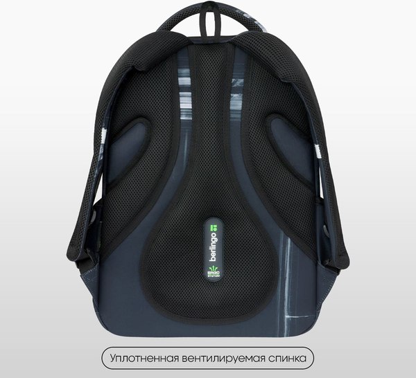 Школьный рюкзак Berlingo ErgoFlex. GR8 / RU-FL-2501