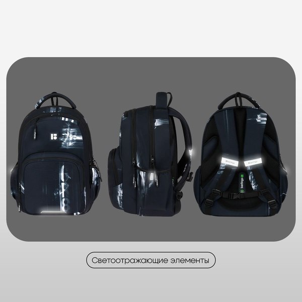 Школьный рюкзак Berlingo ErgoFlex. GR8 / RU-FL-2501