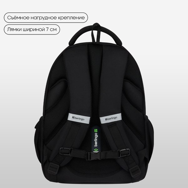 Школьный рюкзак Berlingo ErgoFlex. Youth Fusion / RU-FL-2502